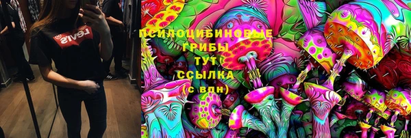 хмурый Липки