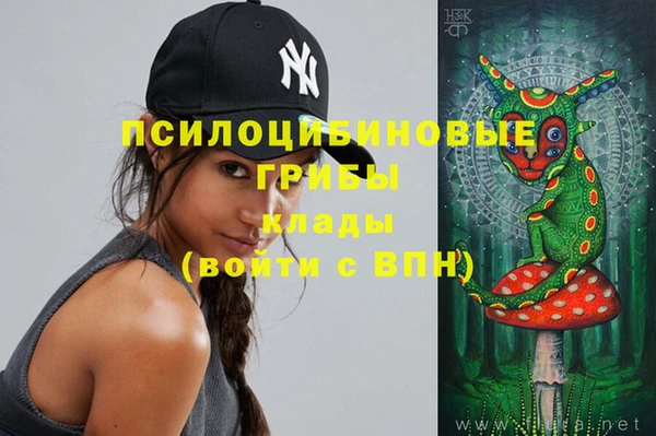 спиды Ладушкин