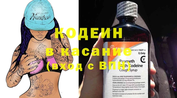 хмурый Липки