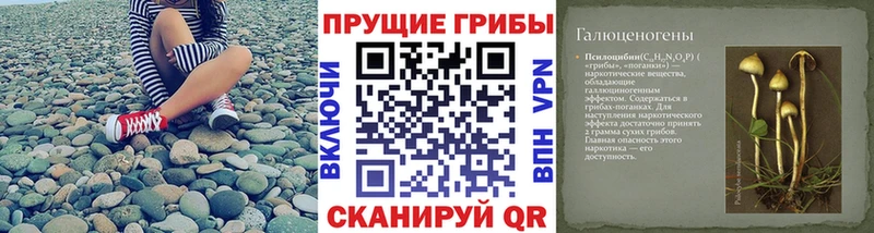 Псилоцибиновые грибы мухоморы  Купить закладки  Кохма 